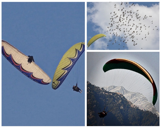 bir billing paragliding course fees