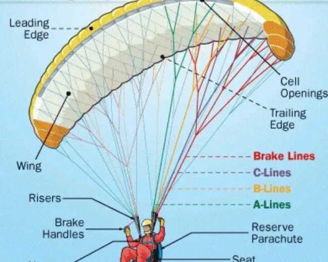 paragliding course bir billing
